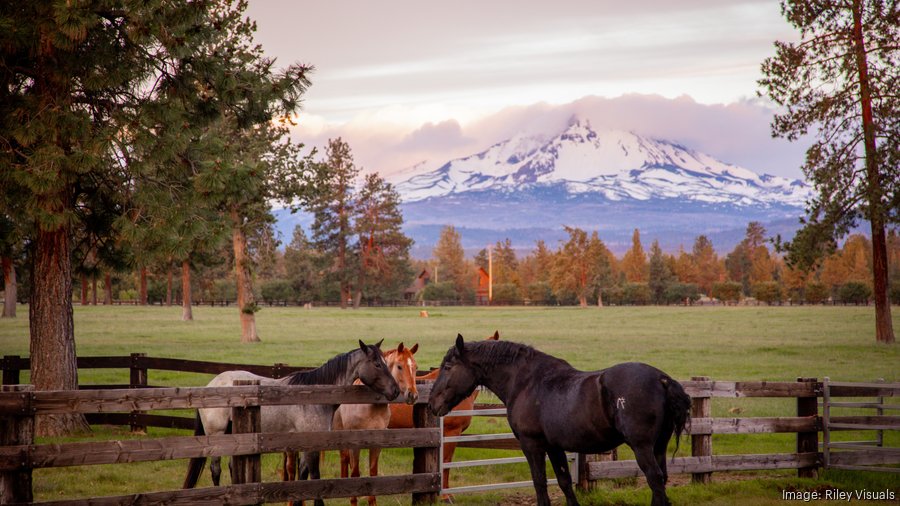 $19M Sisters ranch offers breathtaking Central Oregon views, inside and ...