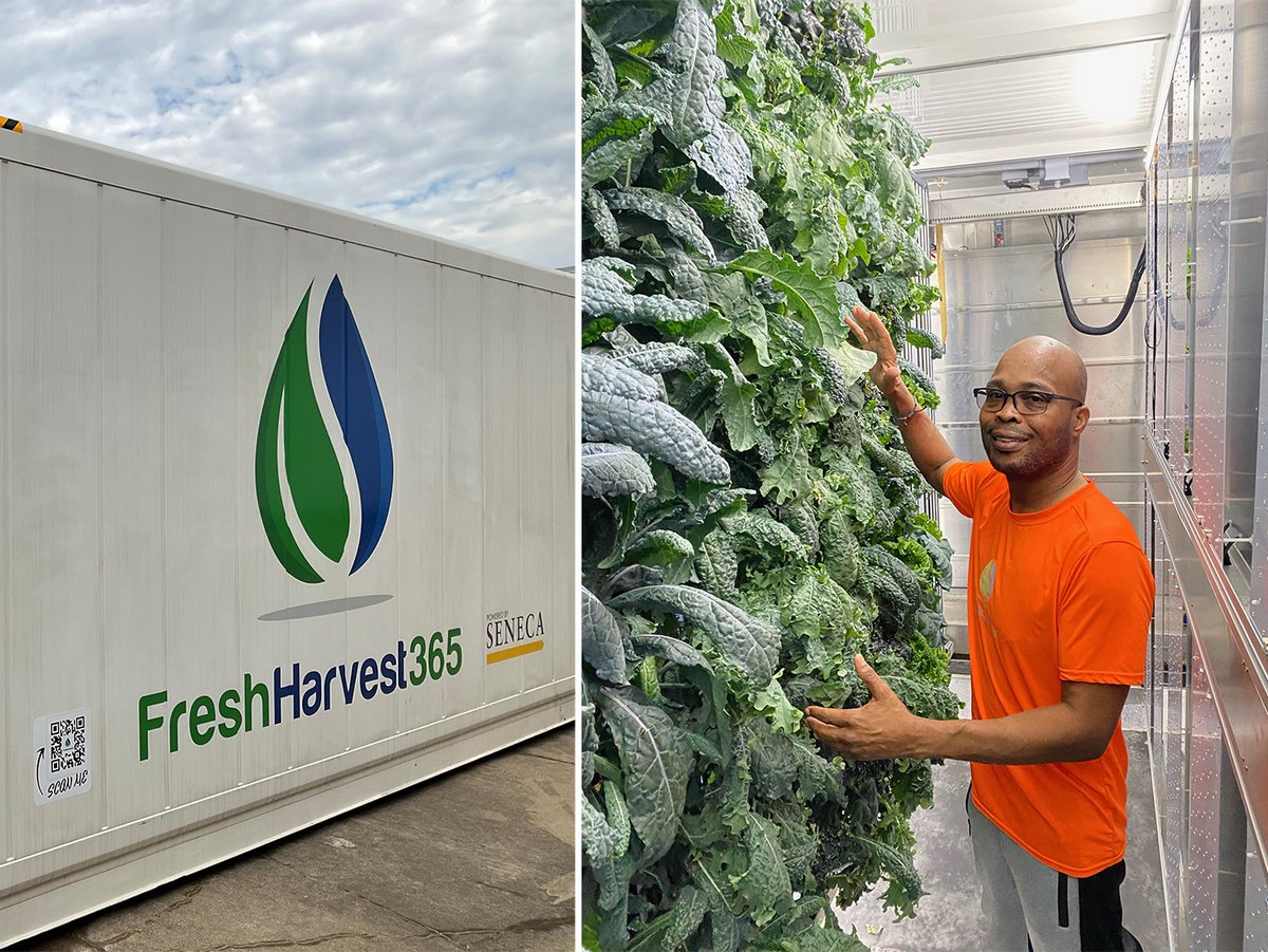 Greenhouse Update: Large Scale Hydroponics - Saint Louis Science Center