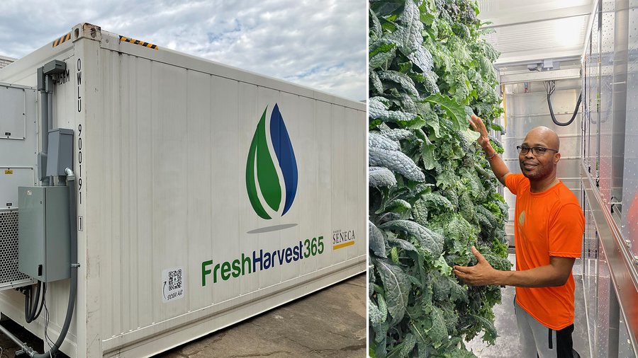 How a hydroponic farming company is improving access to fresh produce