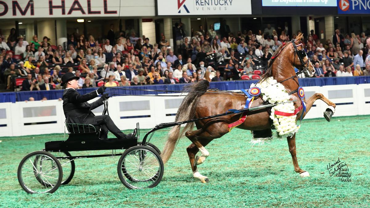 Scott Hagan of Hagan Properties competes in World Championship Horse