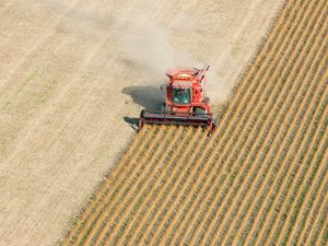 Red Combine Harvesting Fall Soybean Field Aerial