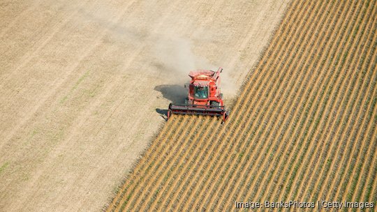 Red Combine Harvesting Fall Soybean Field Aerial