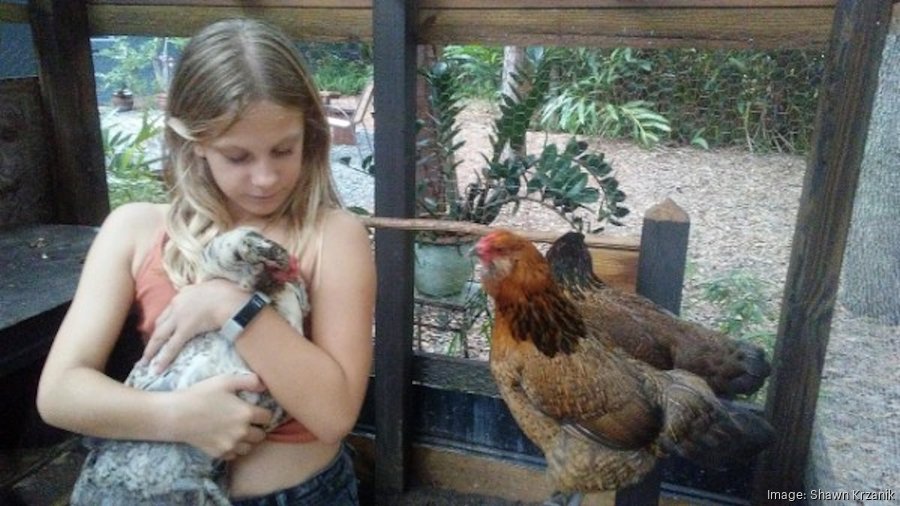 Florida luxury castle home for sale in Orlando Orlando Business Journal