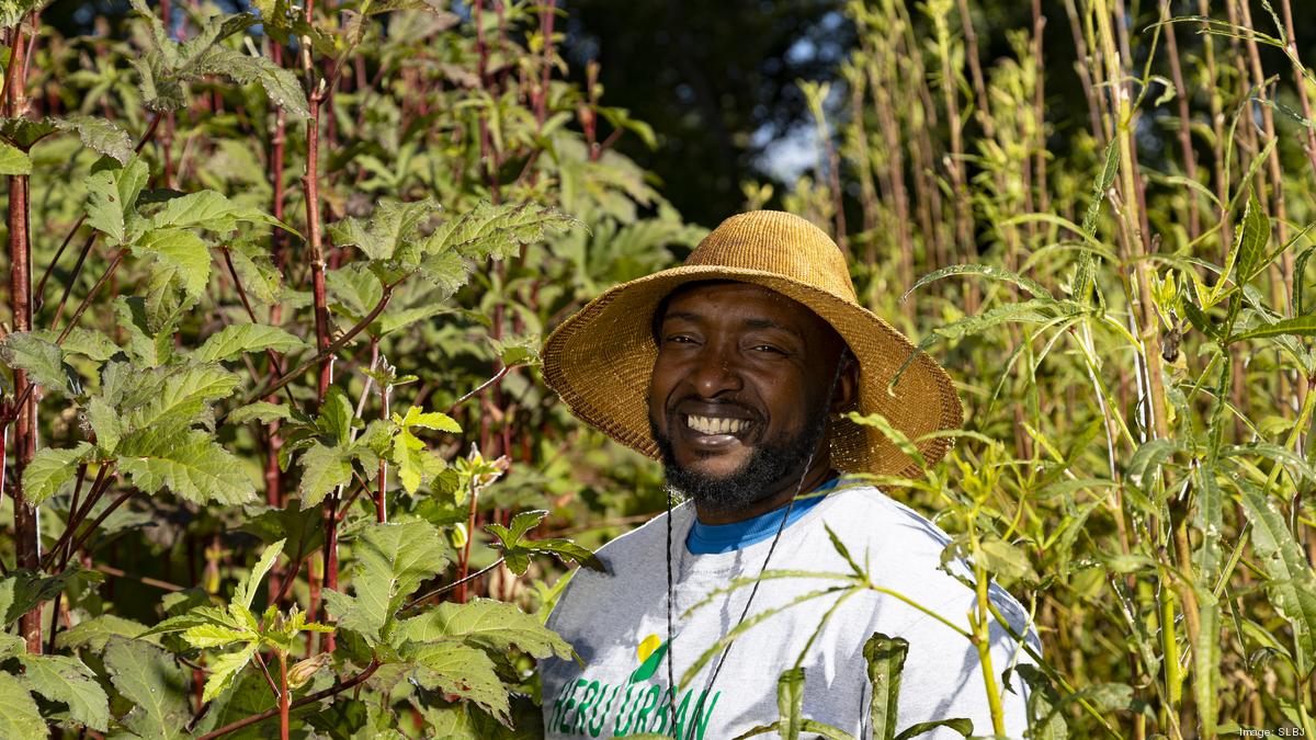 St. Louis Character: Tyrean 'Heru' Lewis turns vacant lot into produce ...