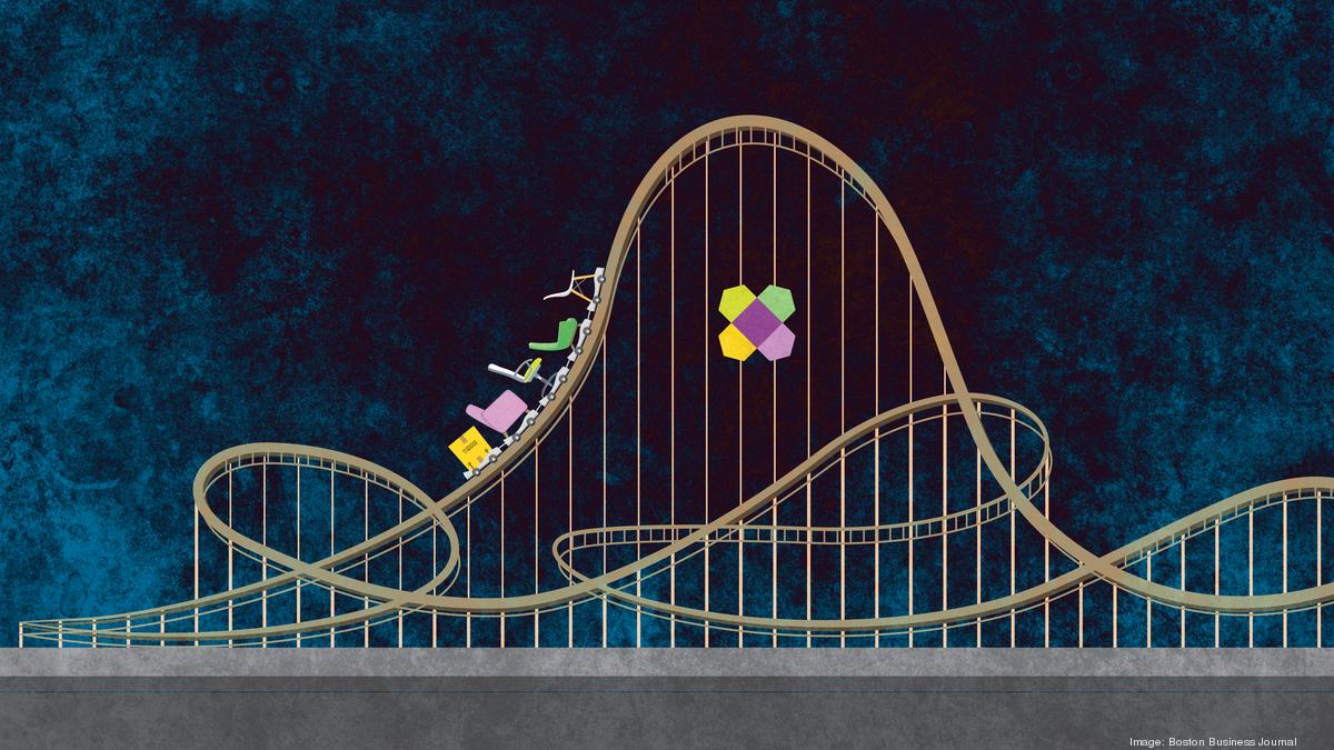 Wayfair launches brick and mortar stores amid rollercoaster stock ride