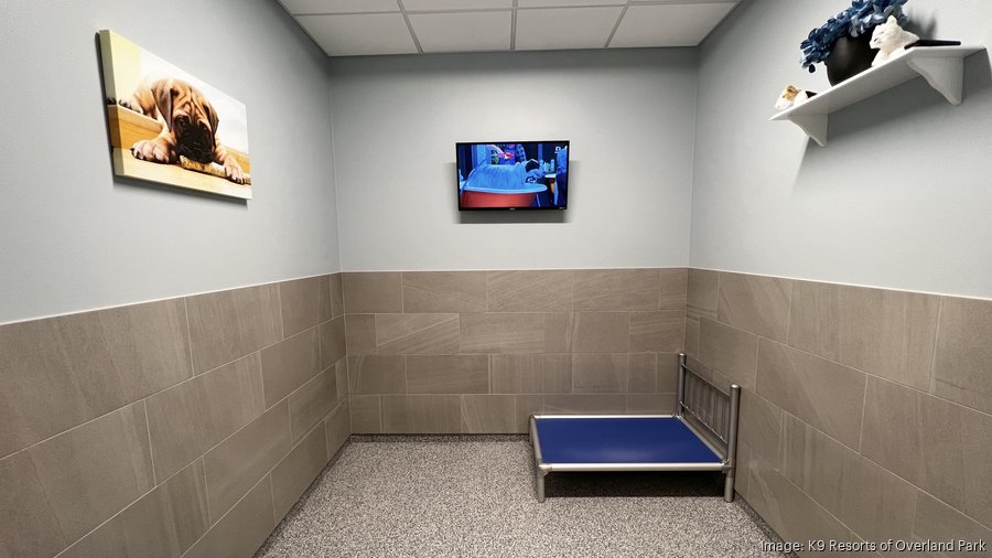 Former Hallmark exec’s new Overland Park luxury pet hotel features