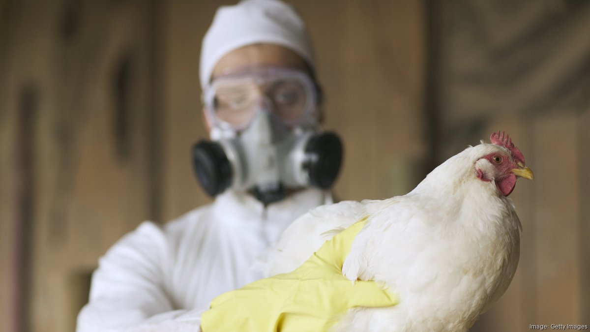 Bird flu confirmed at poultry operation in Gordon County - Atlanta ...