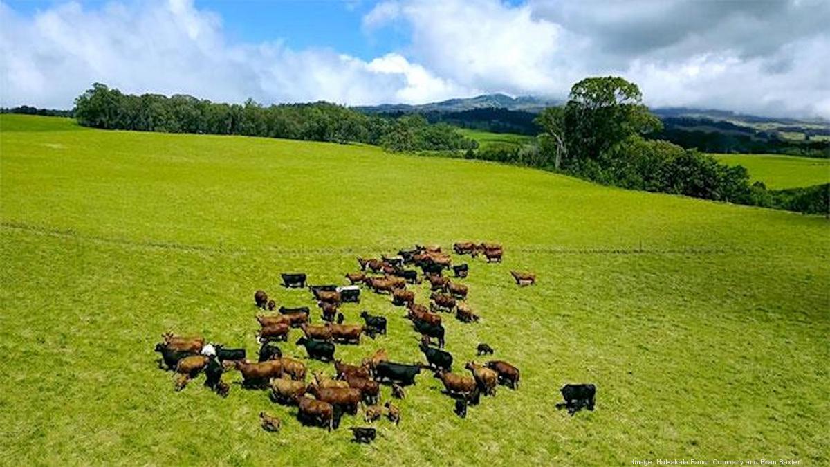 UH researchers lead on $40M grant for climate-smart food production ...