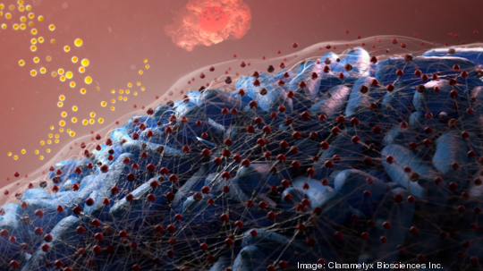 Clarametyx biofilm slide