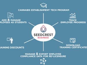 seedcrest business infographic