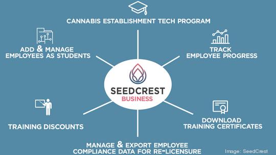 seedcrest business infographic