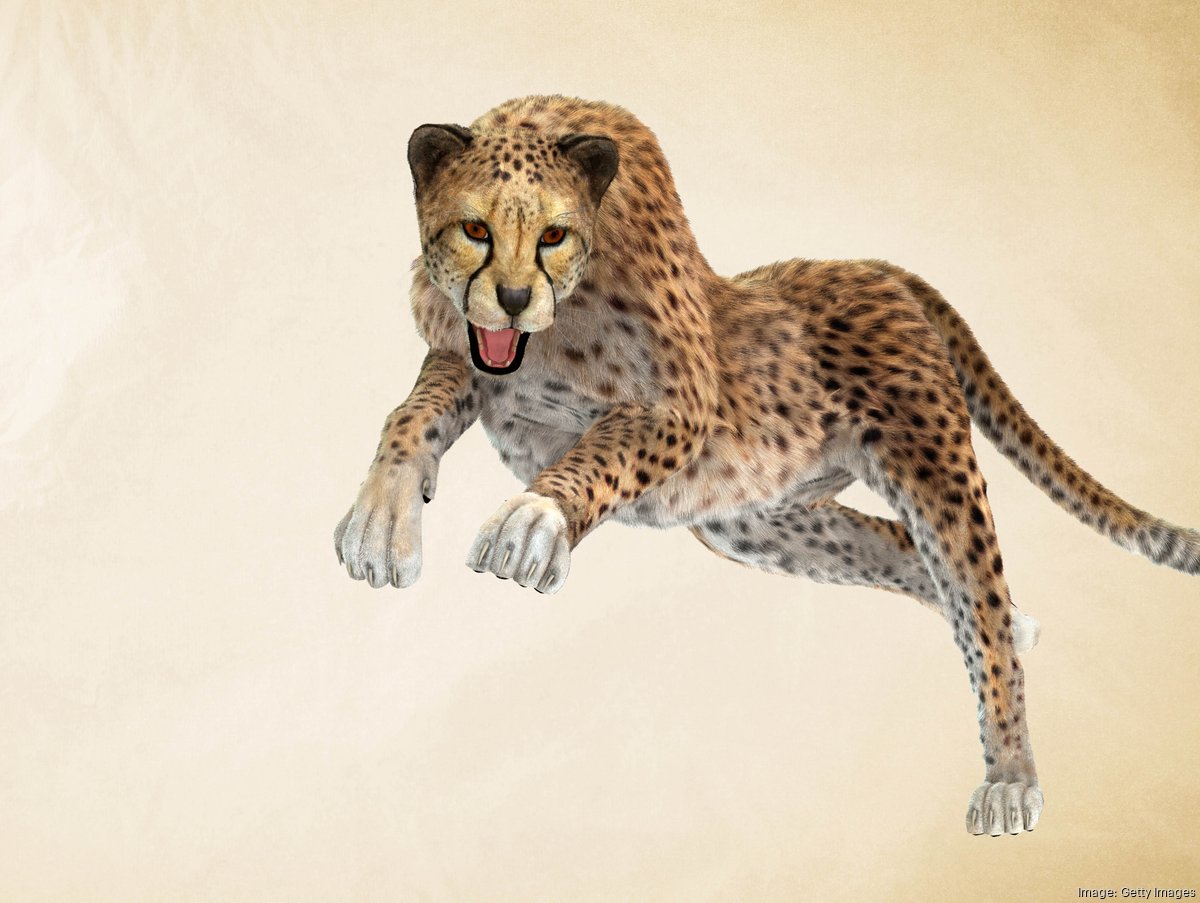 Running Cheetah Statue - large size – Luminosity Designs Ltd