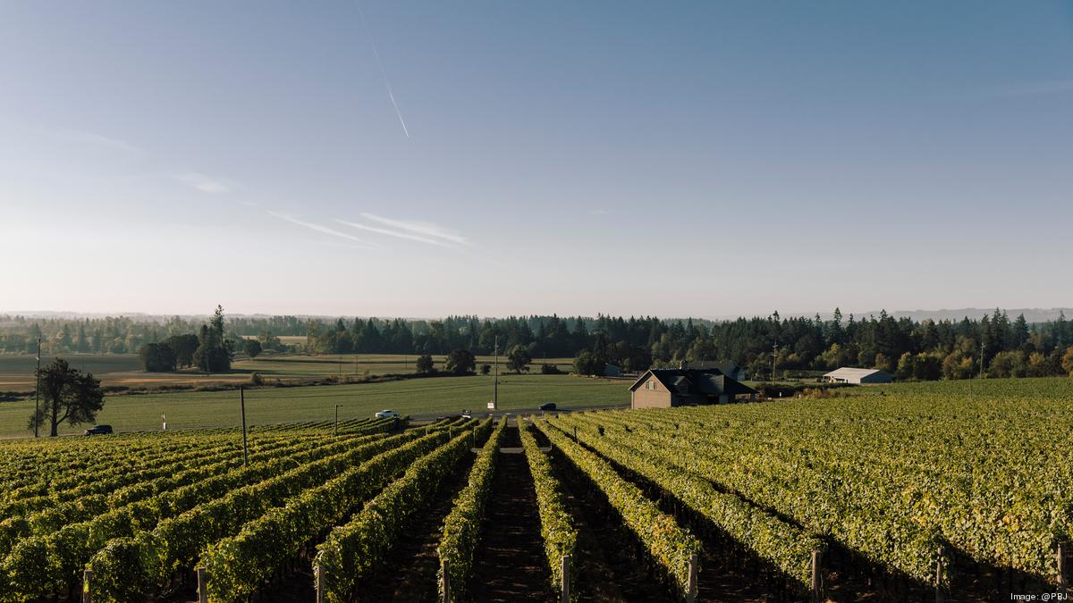 Willamette Valley Vineyards opens Domaine Willamette Portland