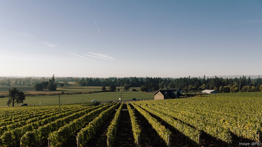 Willamette Valley Vineyards Opens Domaine Willamette Portland Business Journal 4263