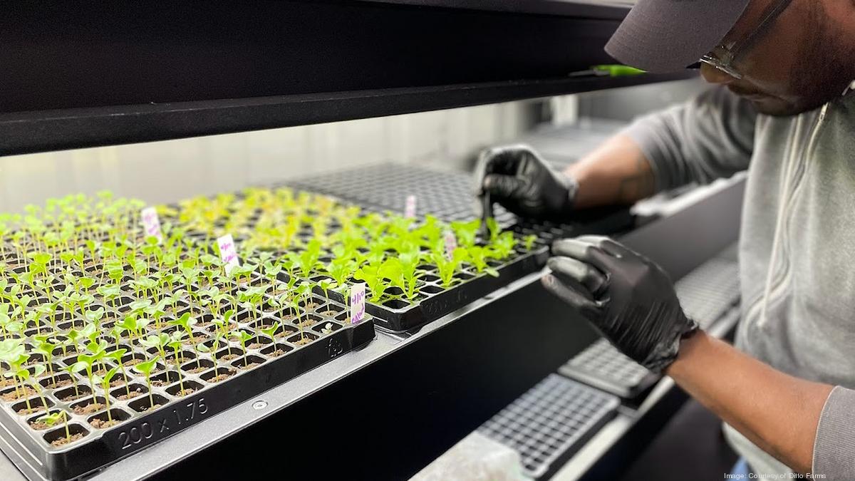 How Market Wagon gives farmers a new outlet to grow in Chicago