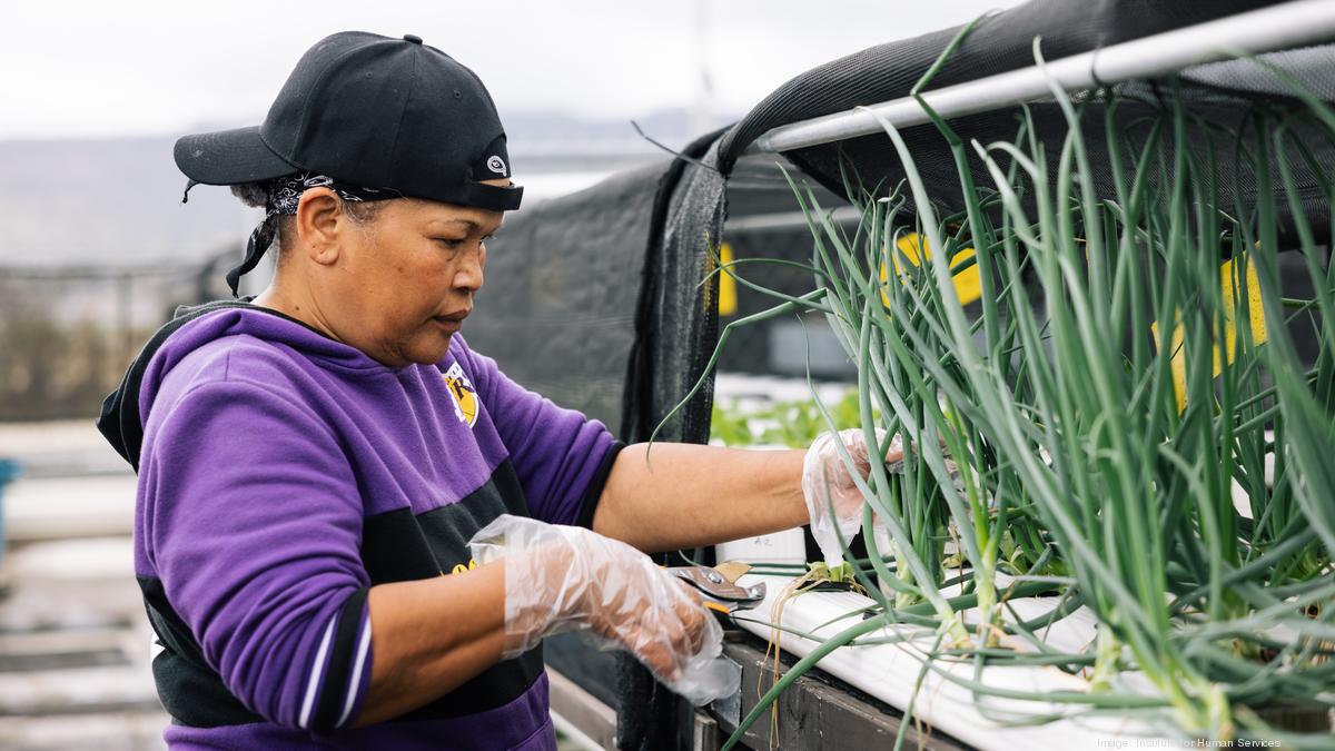 The Institute for Human Services helps combat labor shortage - Pacific ...