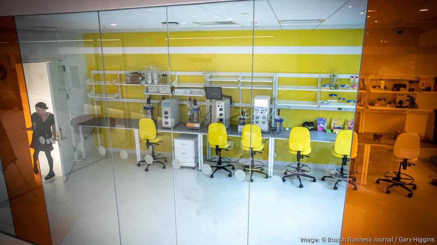 Labcentral Boston LabCentral 238 opens at 238 Main Street in Kendall Square (PHOTOS ...