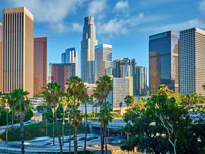 Los Angeles Financial District. Palm Tree