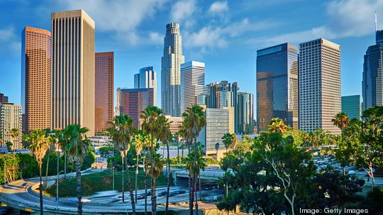 Los Angeles Financial District. Palm Tree