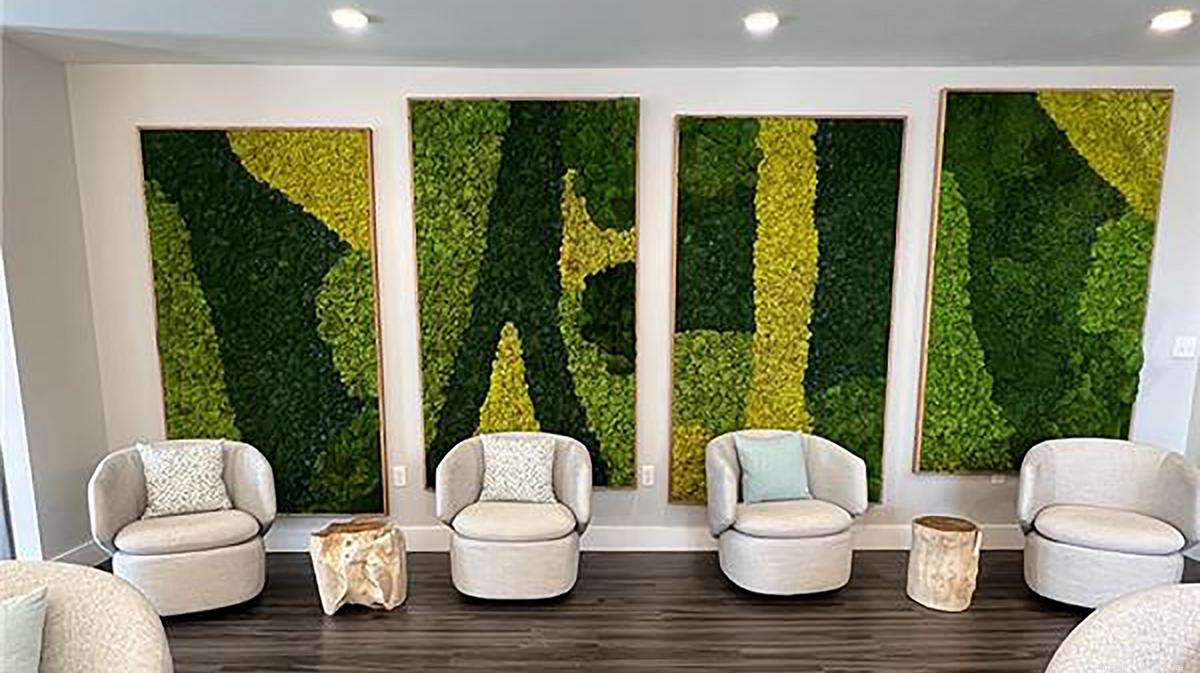 Smithfield native making moss into sustainable art Providence