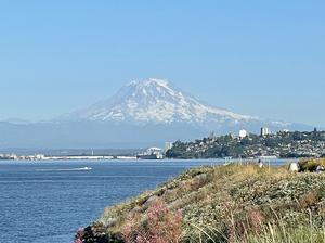 Tacoma skyline Mt Rainier Point Ruston