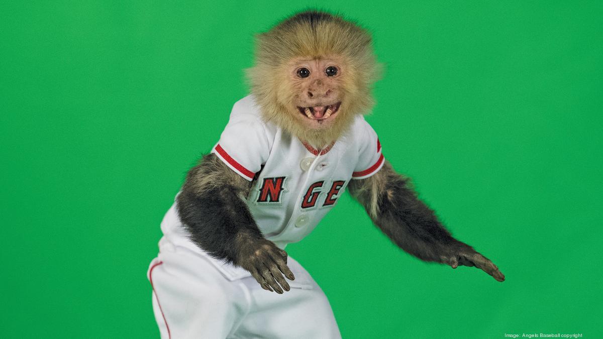 20 years ago: The tale of the famous Los Angeles Angel 'Rally Monkey' -  L.A. Business First