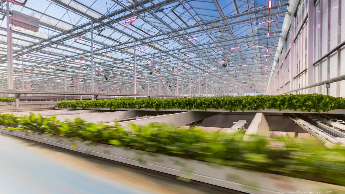 KY Inno - AppHarvest opens latest high-tech indoor farm in Kentucky