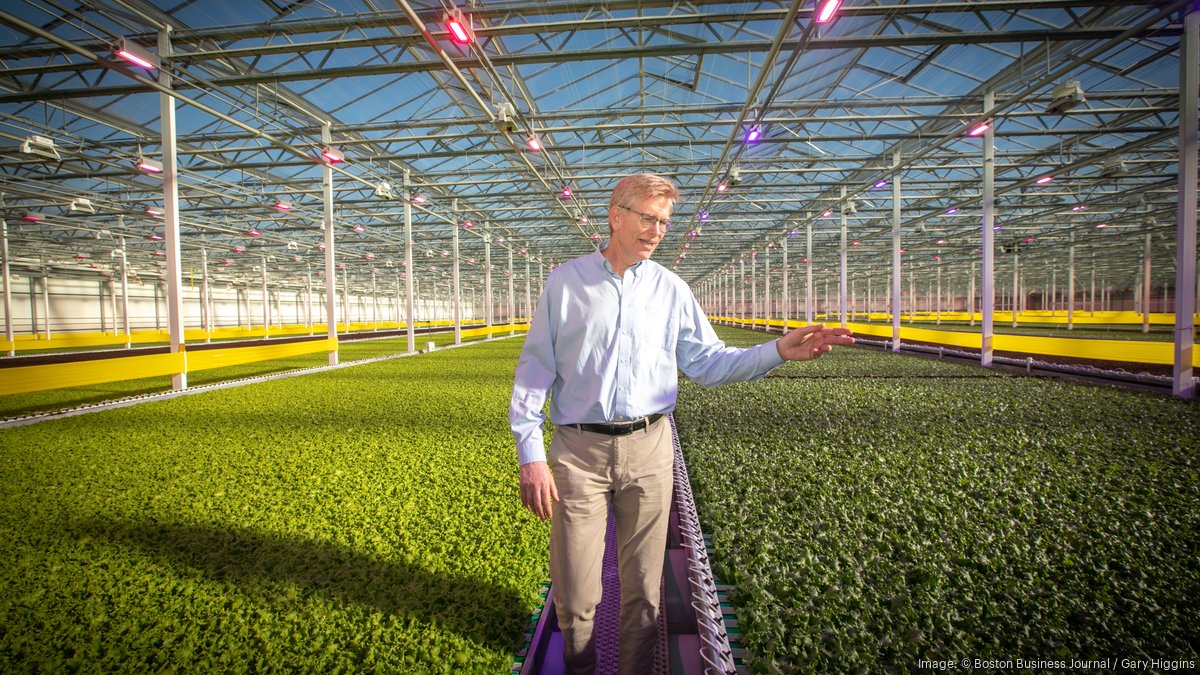 Growers Greenhouse Supplies Inc.: Nourishing Innovation within its Field  (Canadian Business Executive)