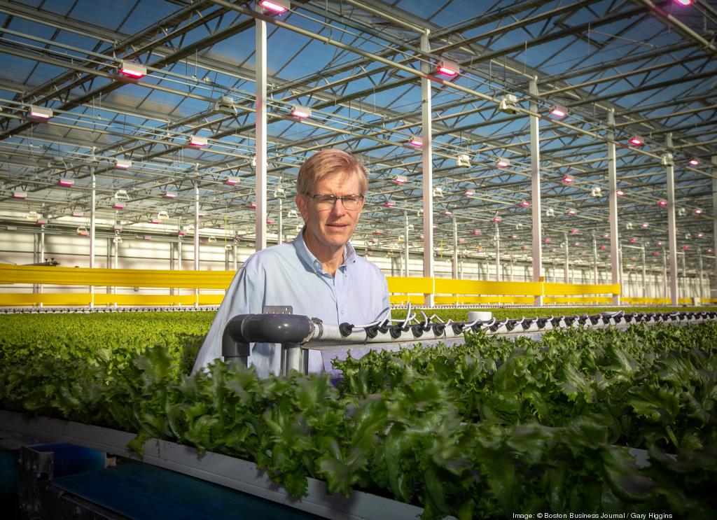 The Greenhouse - Little Leaf Farms