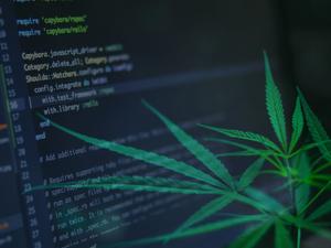 Using technology to address the challenge of branding in the cannabis industry submitted