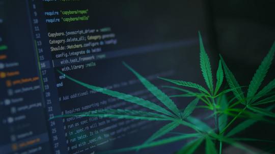 Using technology to address the challenge of branding in the cannabis industry submitted