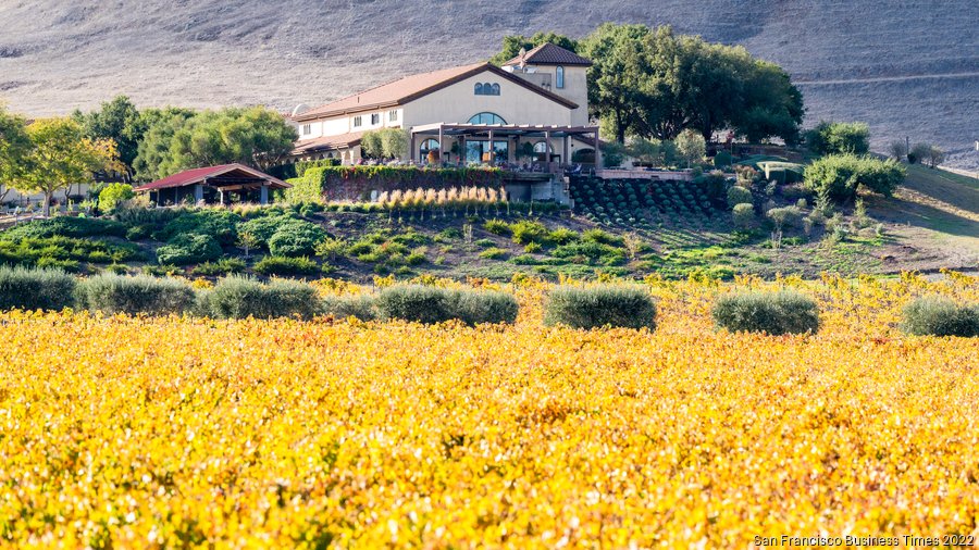 What does climate change mean for Napa and Sonoma wineries? San