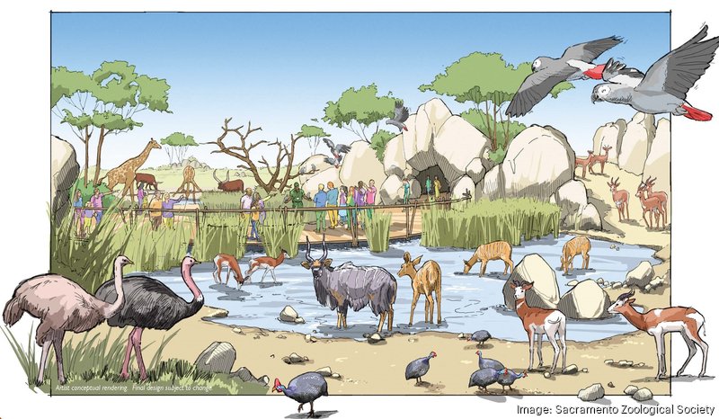 Elk Grove zoo concept art - Bizwomen