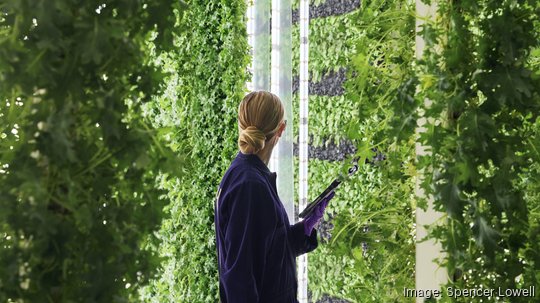 Plenty Vertical Farm Woman Closeup