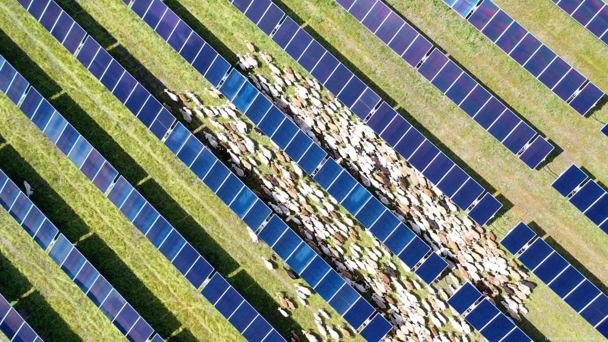 Meta to create three new solar facilities, bring jobs to