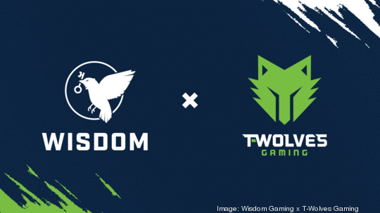 Wisdom Gaming x T-Wolves Gaming