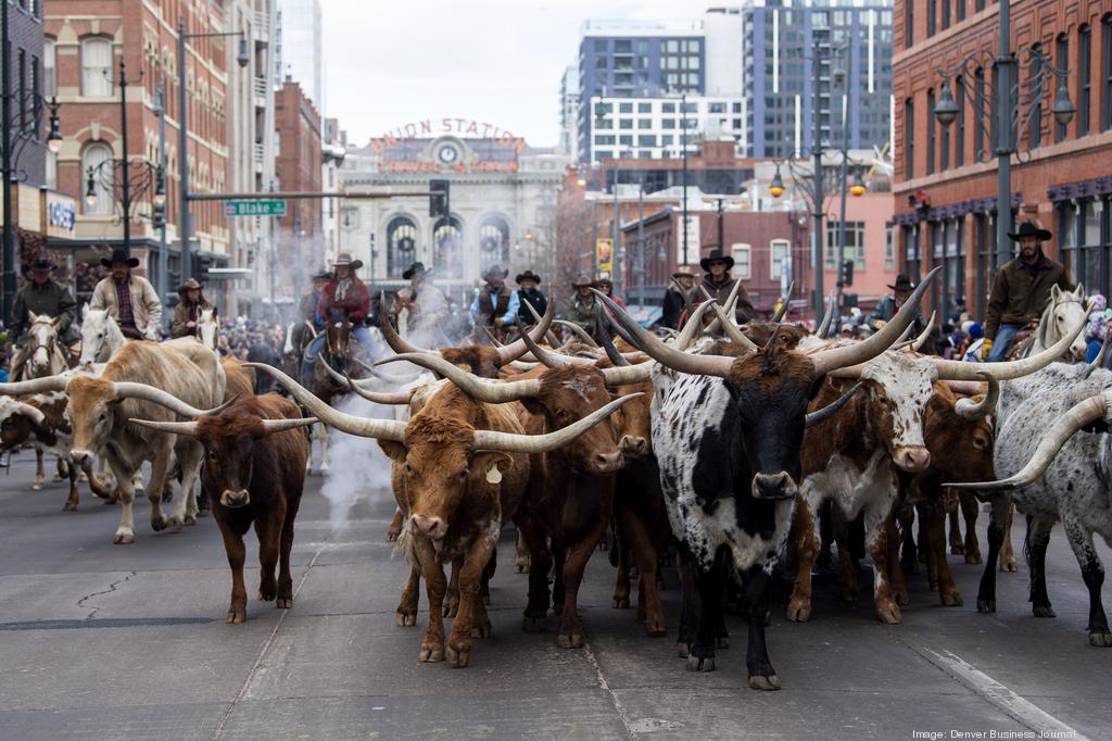 National Western Stock Show parade: What you need to know