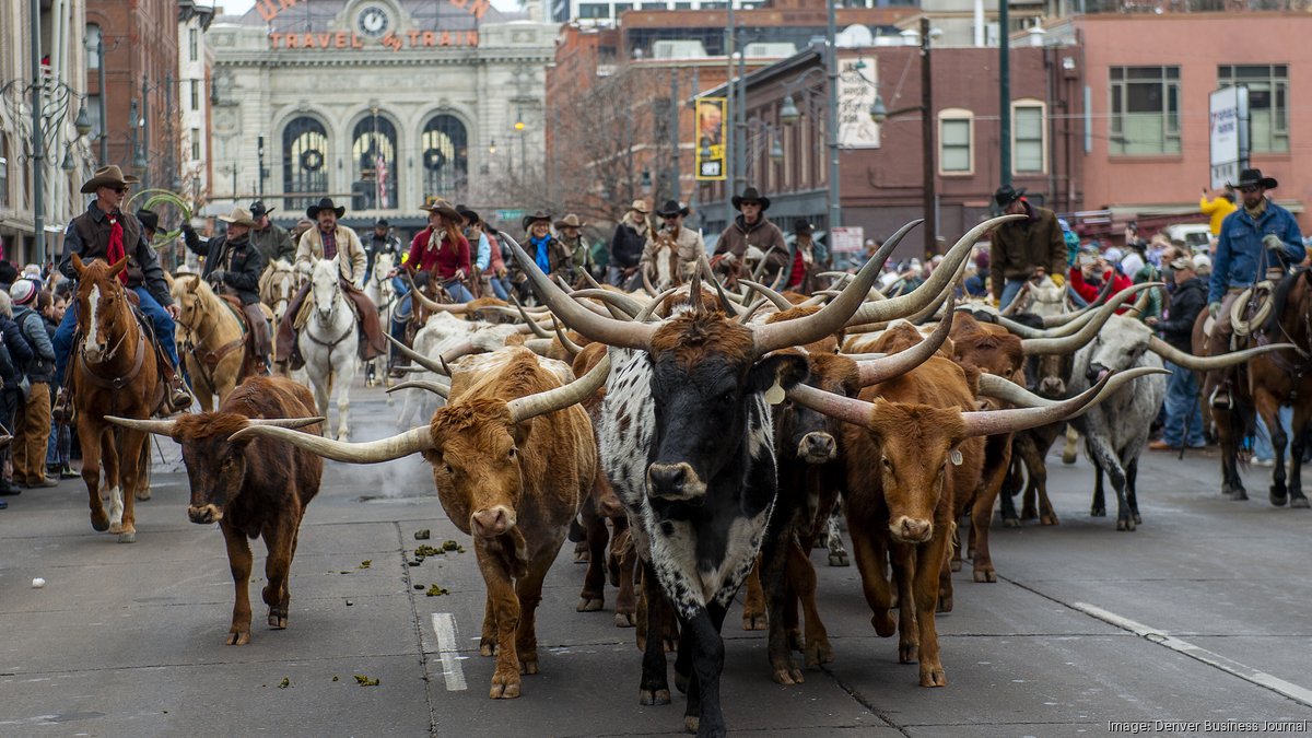 Broncos mascot Thunder named National Western Stock Show parade Grand  Marshal – The Denver Post