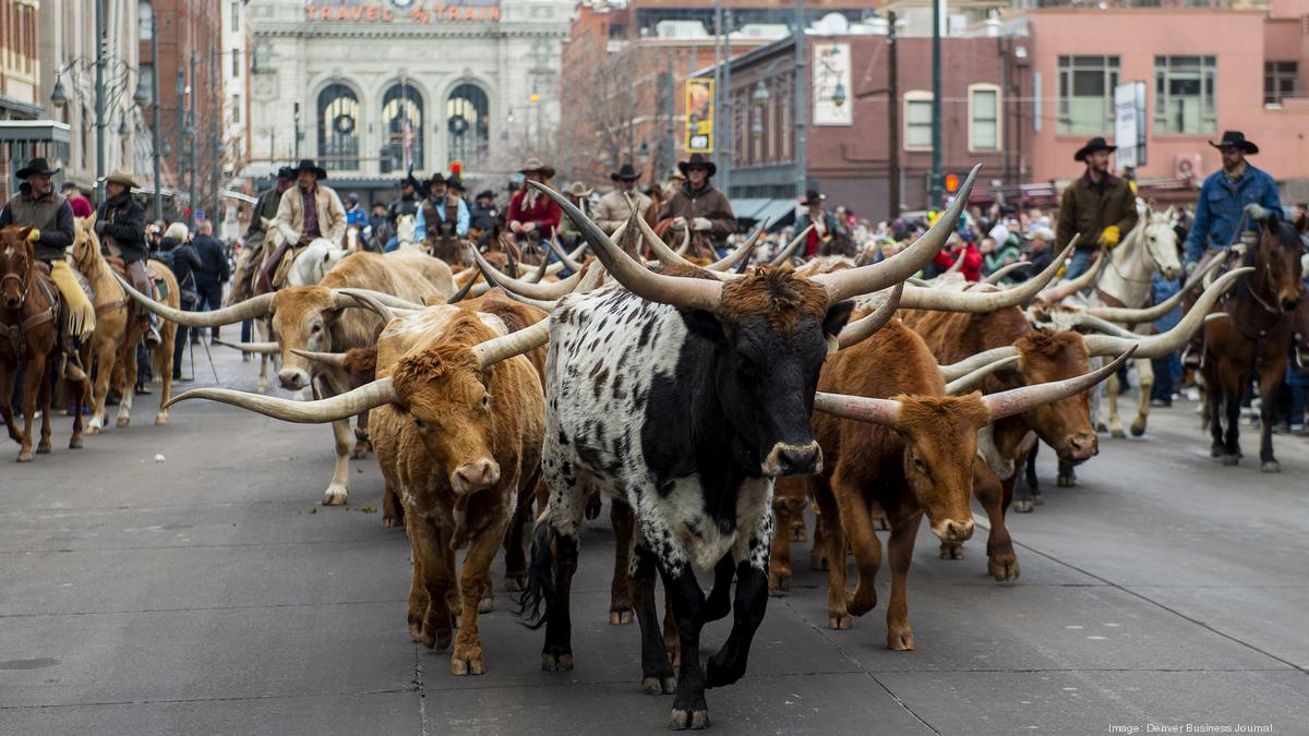 National Western Stock Show kicks off with downtown Denver parade