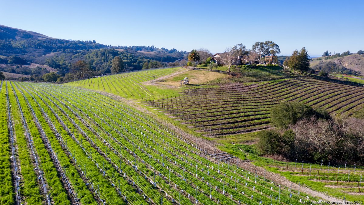 What does climate change mean for Napa and Sonoma wineries? San