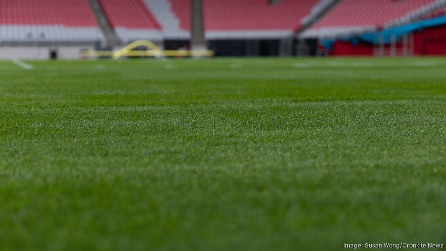 Super Bowl LVII: How the NFL prepared grass turf in the desert