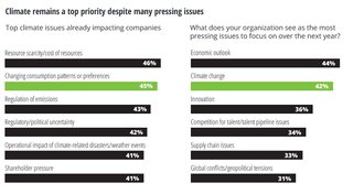 Deloitte’s survey of C-suite executives shows a focus on climate change