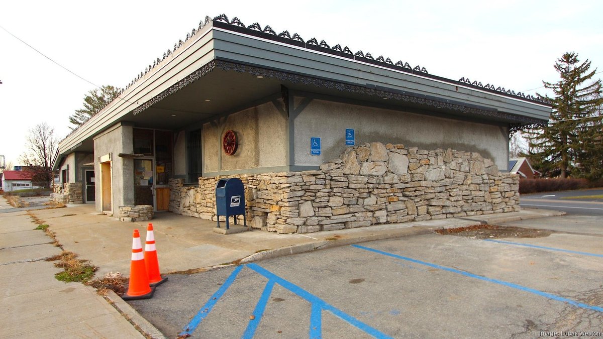 Cat cafe to open in Rotterdam at Five Corners Albany Business Review