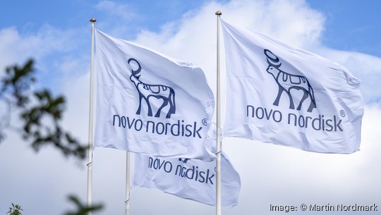 Novo Nordisk flag