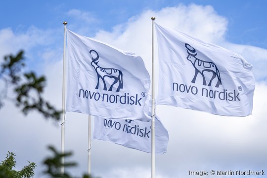 Novo Nordisk flag