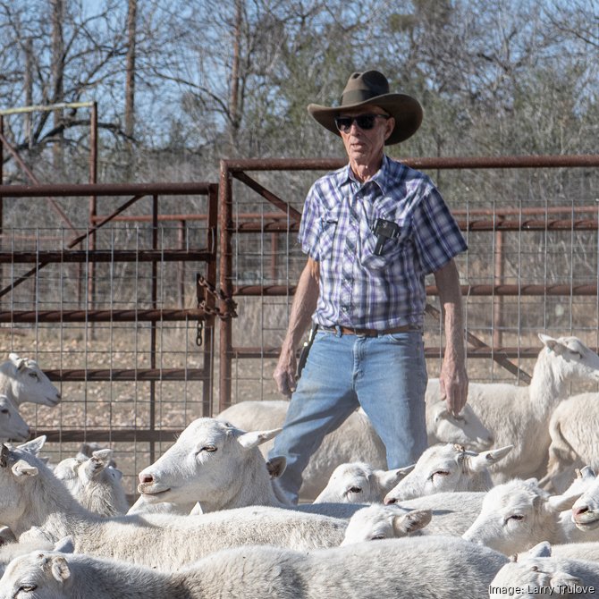 USA, Texas, Dallas, Cowboy standing on pasture stock photo