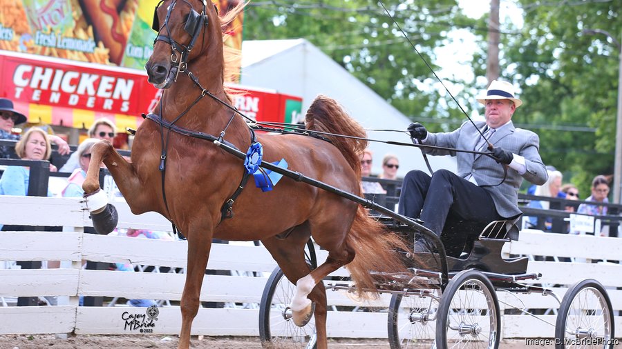 Rock Creek Horse Show seeks funds for facility renovations Louisville