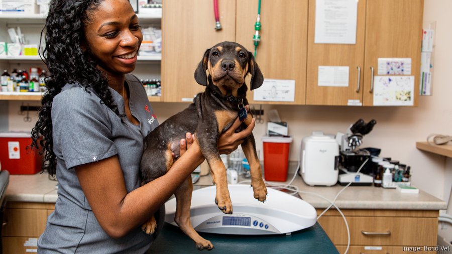 Bond Vet enters Chicago, targets expansion Chicago Business Journal