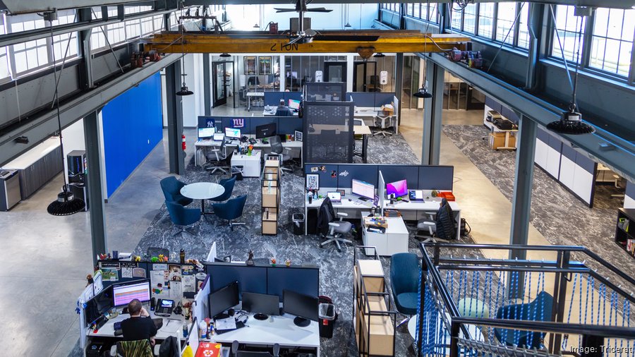 Tricerat office