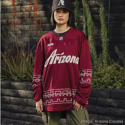 Ladies Arizona Coyotes Sweat à capuche, Coyotes Sweatshirts, Coyotes